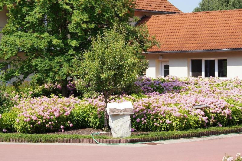 Hotel Bollmannsruh Am Beetzsee - Genel