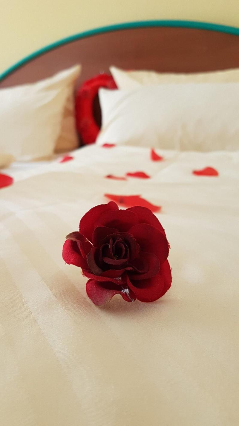 Akzent Hotel Zur Post - Oda