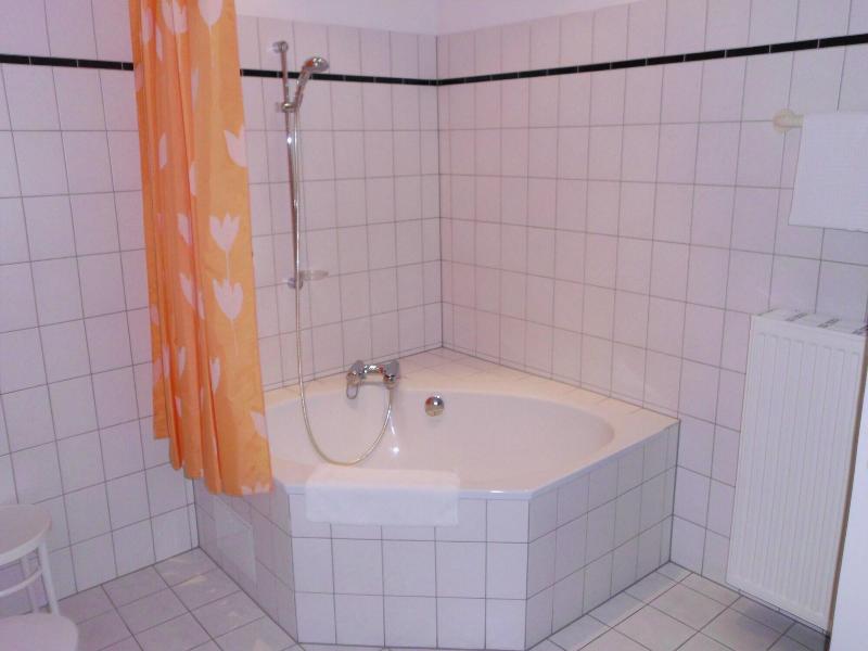 The Royal Inn Wilder Mann Annaberg - Oda