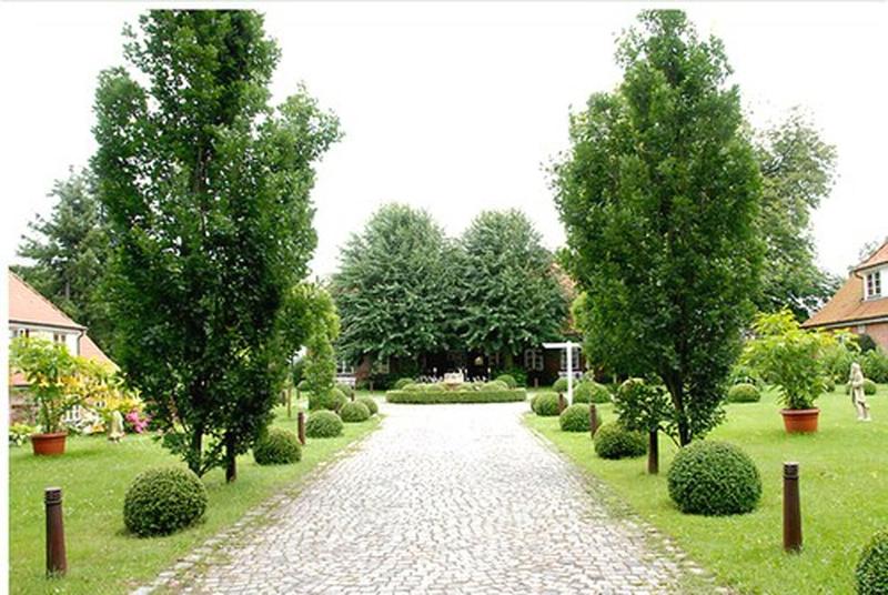 Ringhotel Friederikenhof - Genel