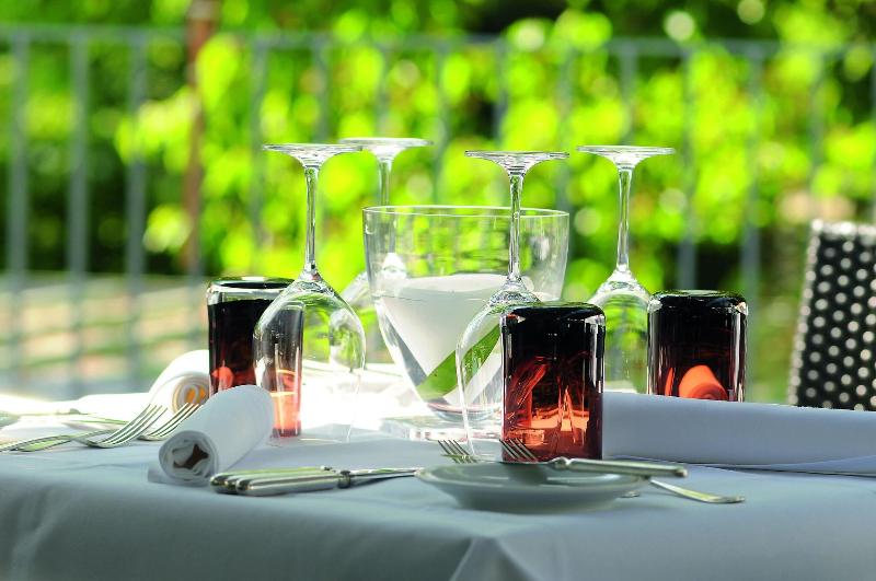 Favorite Parkhotel - Teras