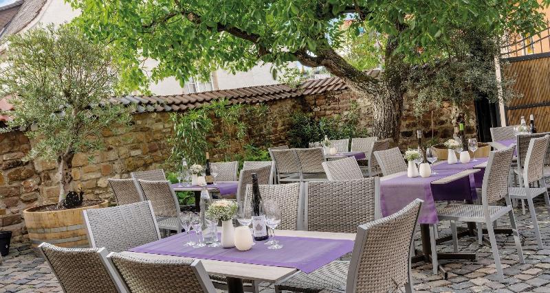 Pfalzhotel Asselheim - Genel