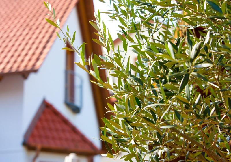 Pfalzhotel Asselheim - Genel