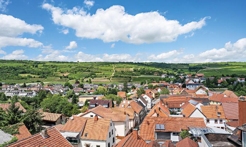 Pfalzhotel Asselheim - Oda