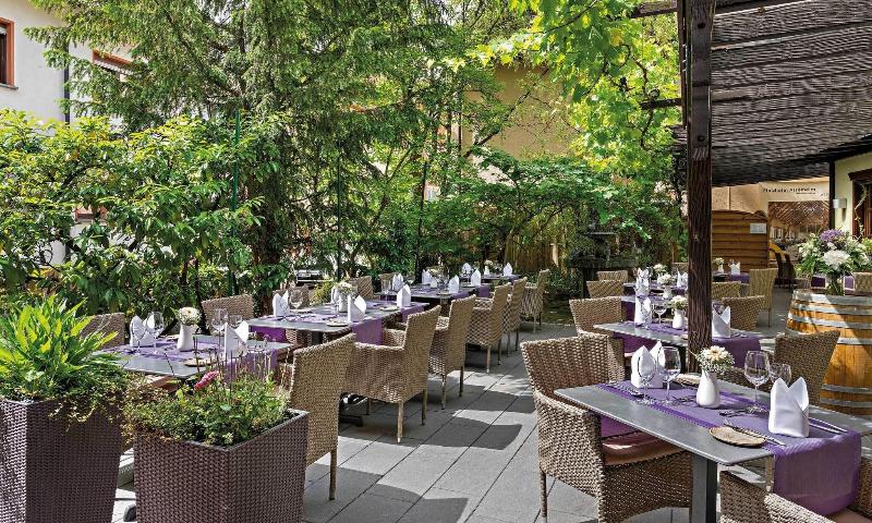 Pfalzhotel Asselheim - Teras
