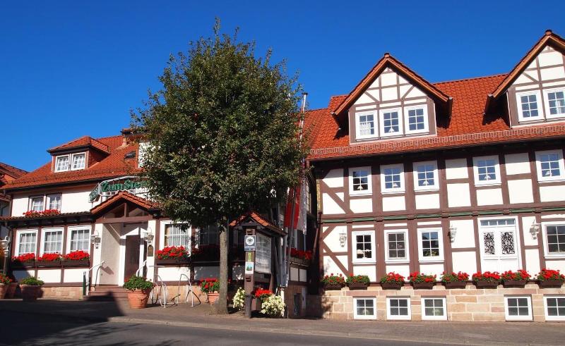 Parkhotel Zum Stern - Genel