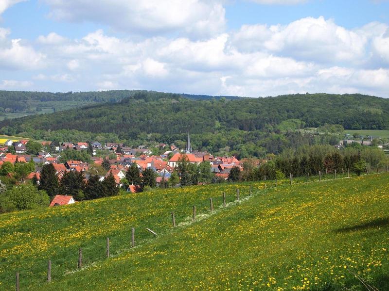 Parkhotel Zum Stern - Genel