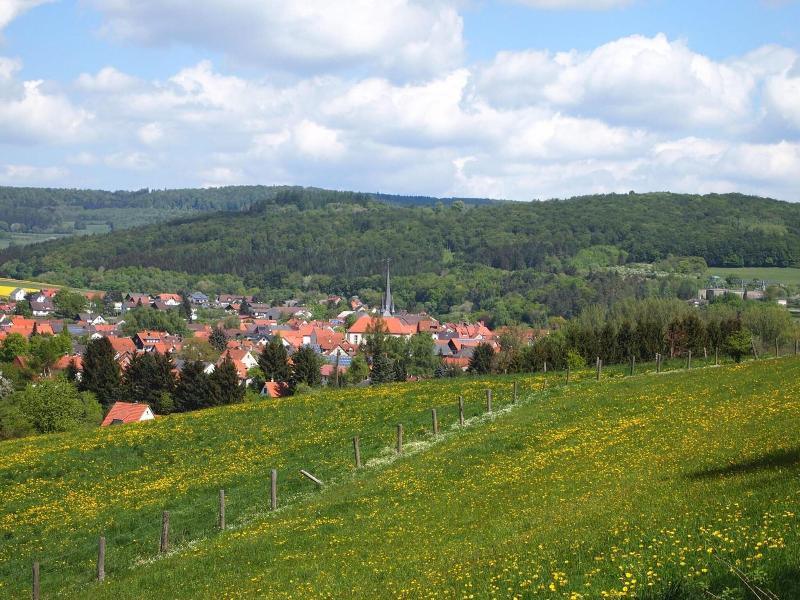 Parkhotel Zum Stern - Genel