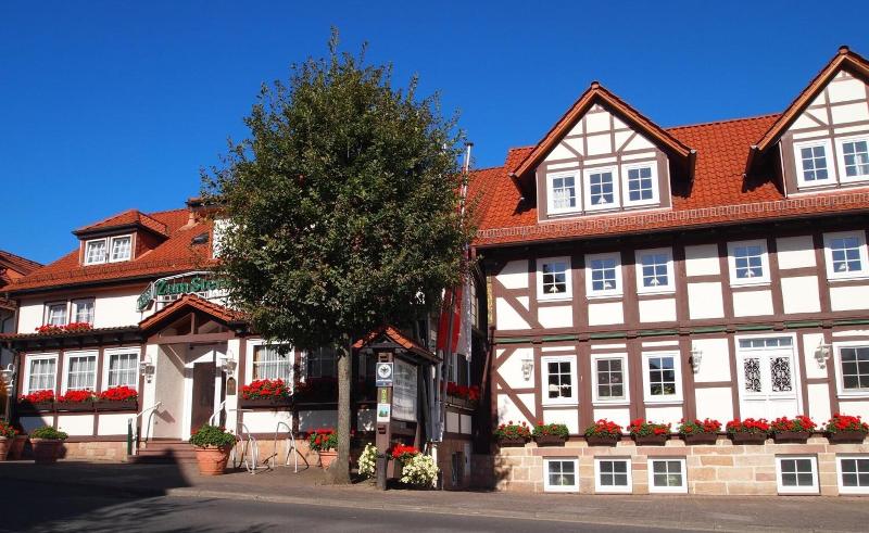 Parkhotel Zum Stern - Genel