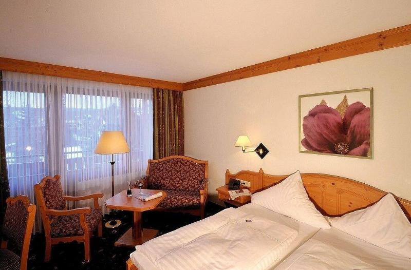 Parkhotel Zum Stern - Oda