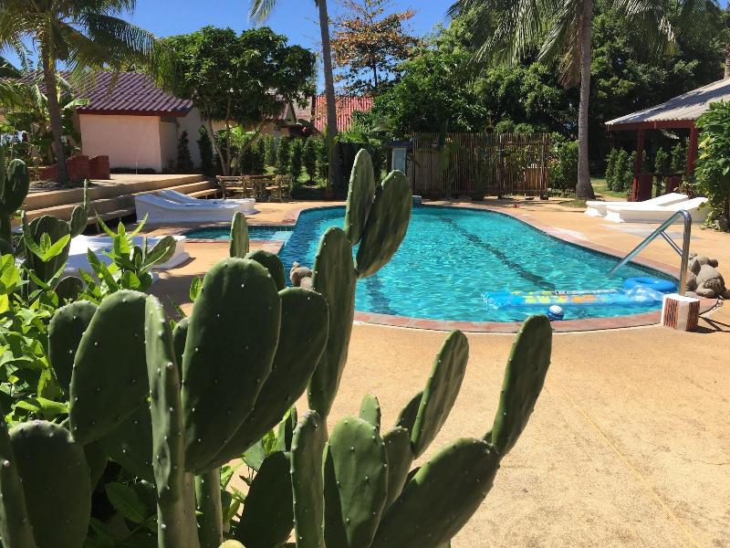 Lamai Chalet - Aktivite