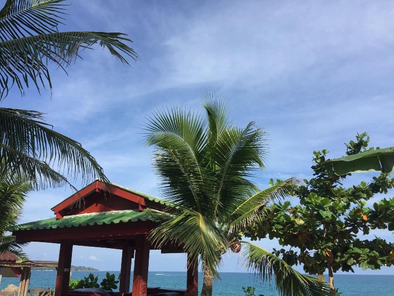 Lamai Chalet - Genel