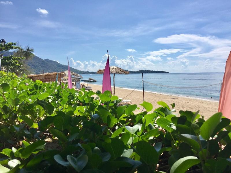 Lamai Chalet - Genel
