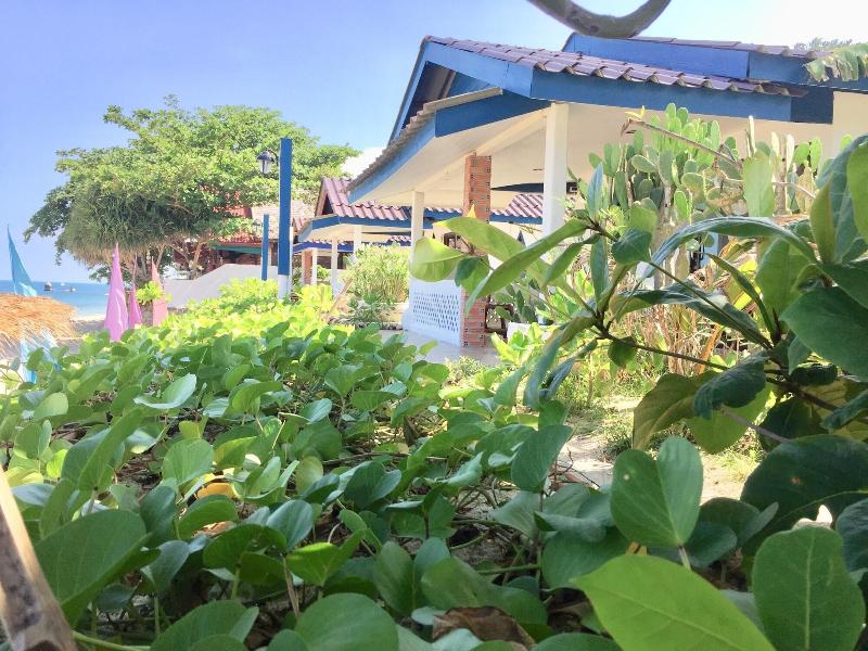 Lamai Chalet - Genel