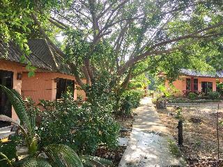 Lamai Chalet fotoÄŸrafÄ±