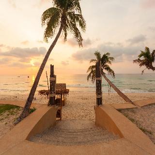 The Samui Beach Resort fotoÄŸrafÄ±