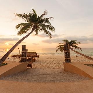 The Samui Beach Resort fotoÄŸrafÄ±