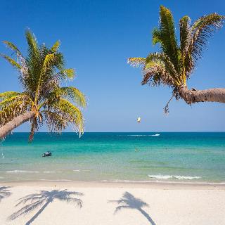 The Samui Beach Resort fotoÄŸrafÄ±