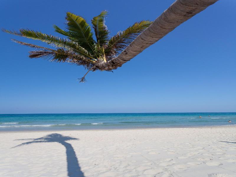 The Samui Beach Resort - Genel