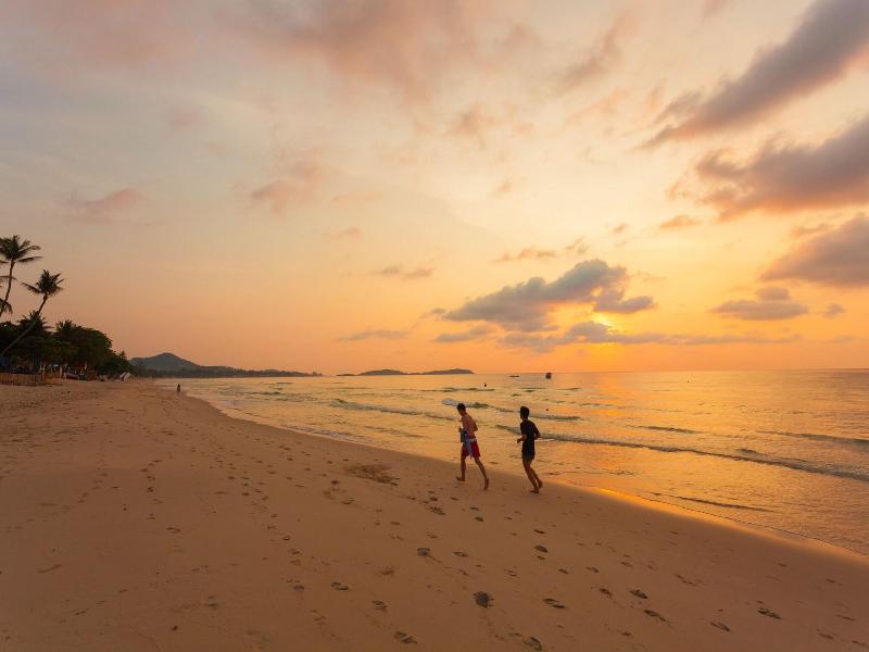 The Samui Beach Resort - Genel