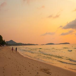 The Samui Beach Resort fotoÄŸrafÄ±