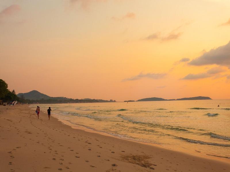 The Samui Beach Resort - Genel