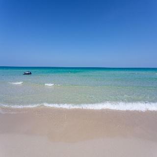 The Samui Beach Resort fotoÄŸrafÄ±