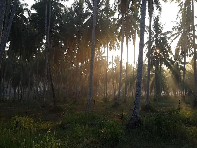 Baan Phuean Koh Kood - Genel