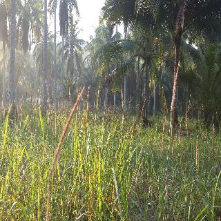 Baan Phuean Koh Kood fotoÄŸrafÄ±