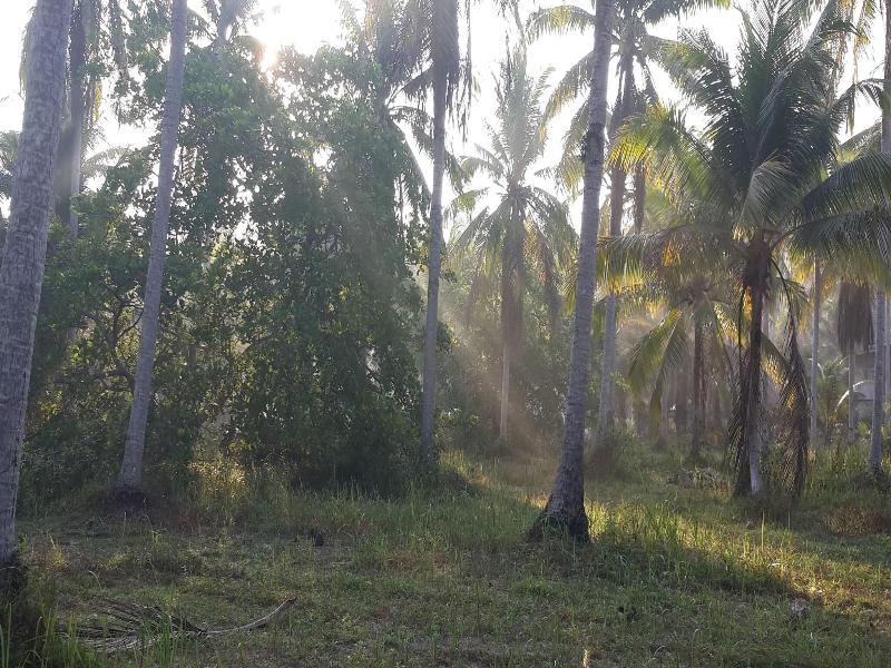 Baan Phuean Koh Kood - Genel