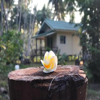 Baan Phuean Koh Kood fotoÄŸrafÄ±
