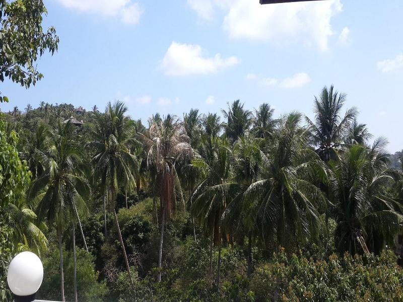 Woodlawn Villas Resort - Genel