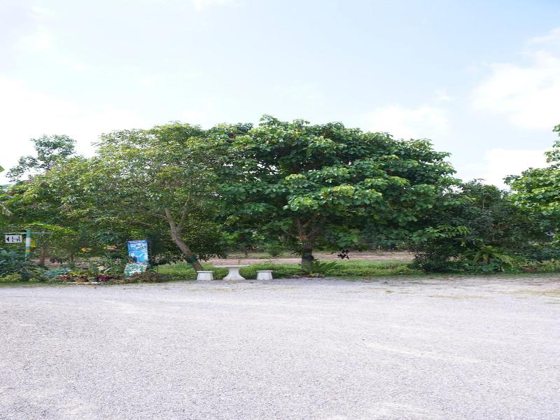 Go Green Resort - Genel