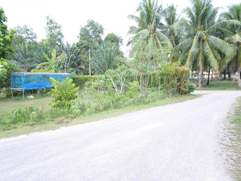 Go Green Resort - Genel