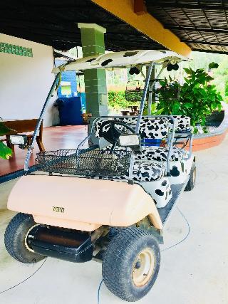 Krabi Inn Resort fotoÄŸrafÄ±