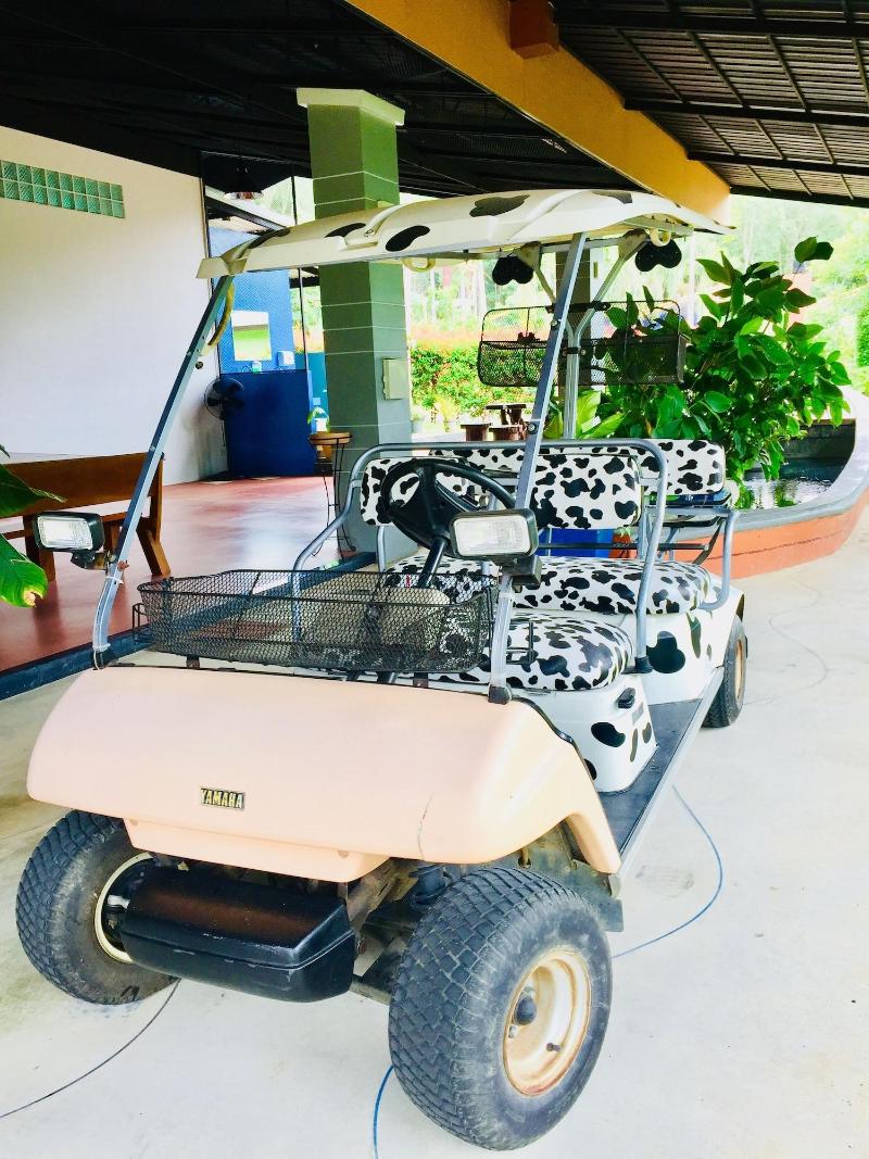 Krabi Inn Resort - Aktivite