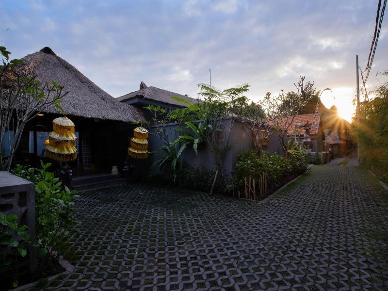 Ubud Wana Villa - Aktivite
