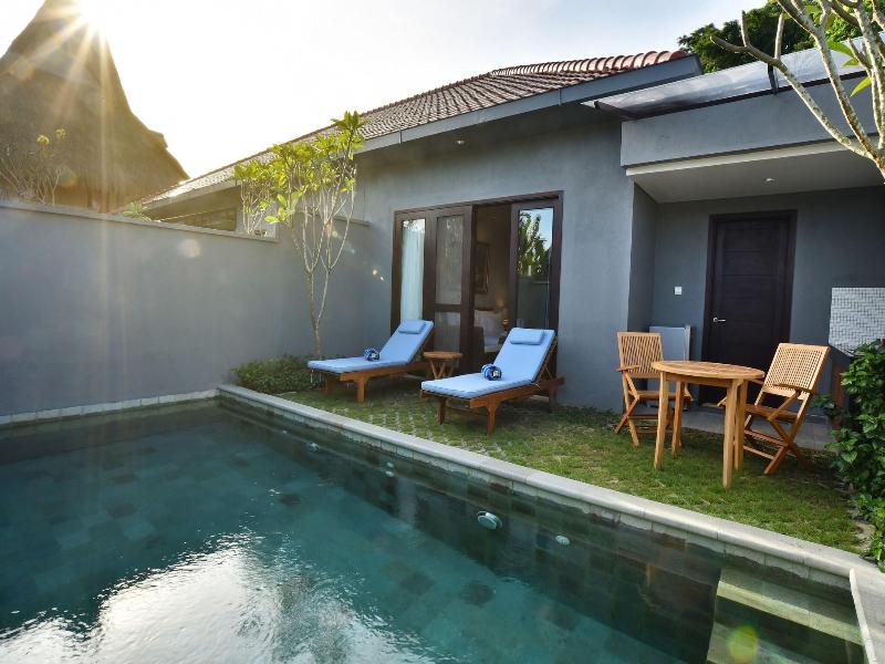 Ubud Wana Villa - Havuz