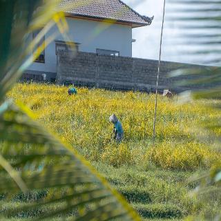 Umadhatu Village & Outbound Resort fotoÄŸrafÄ±