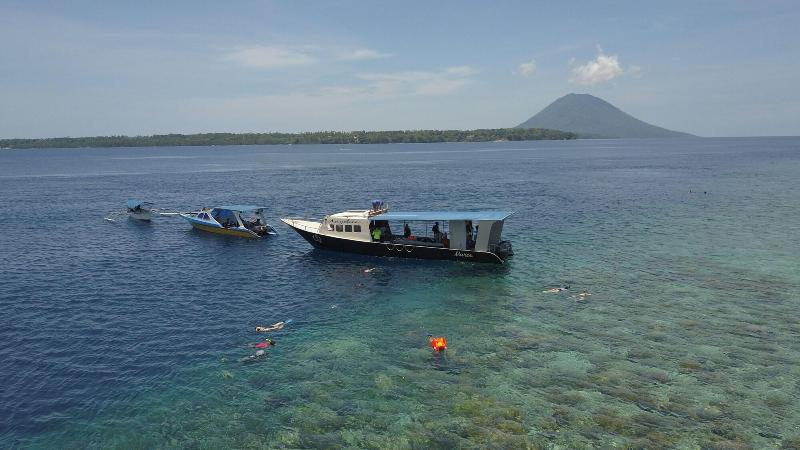 Murex Manado Dive Resort - Aktivite