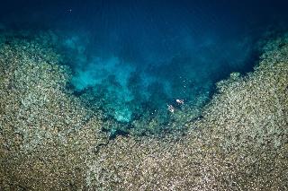 Murex Manado Dive Resort fotoÄŸrafÄ±