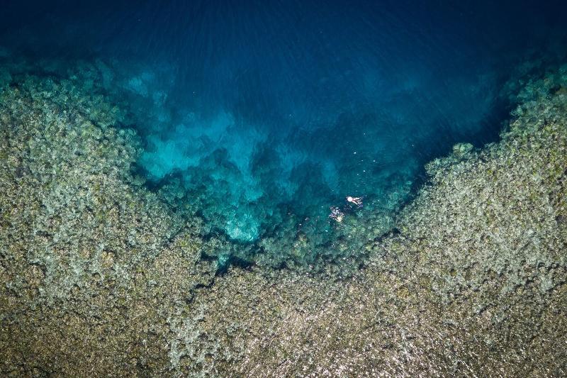 Murex Manado Dive Resort - Aktivite