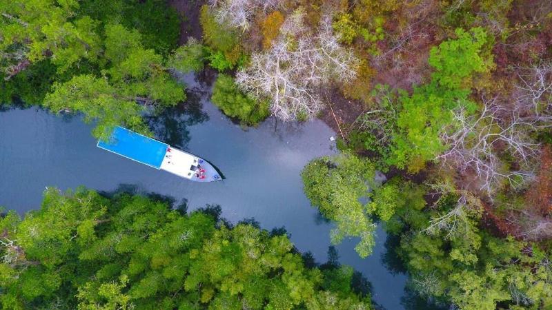 Murex Manado Dive Resort - Aktivite
