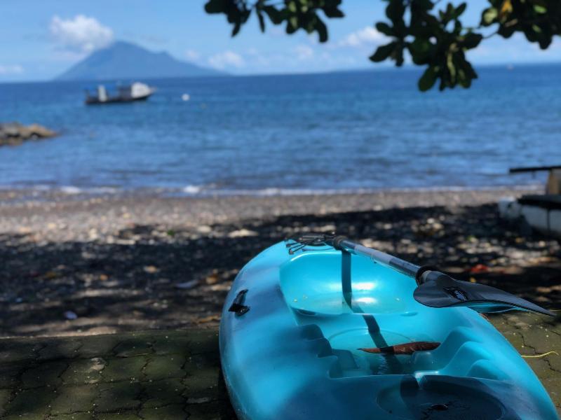 Murex Manado Dive Resort - Aktivite