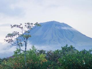 Murex Manado Dive Resort fotoÄŸrafÄ±