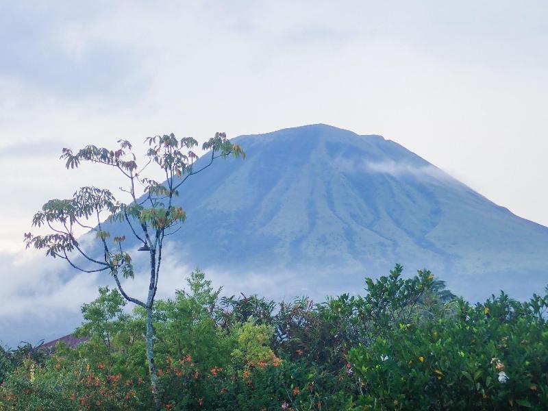 Murex Manado Dive Resort - Aktivite