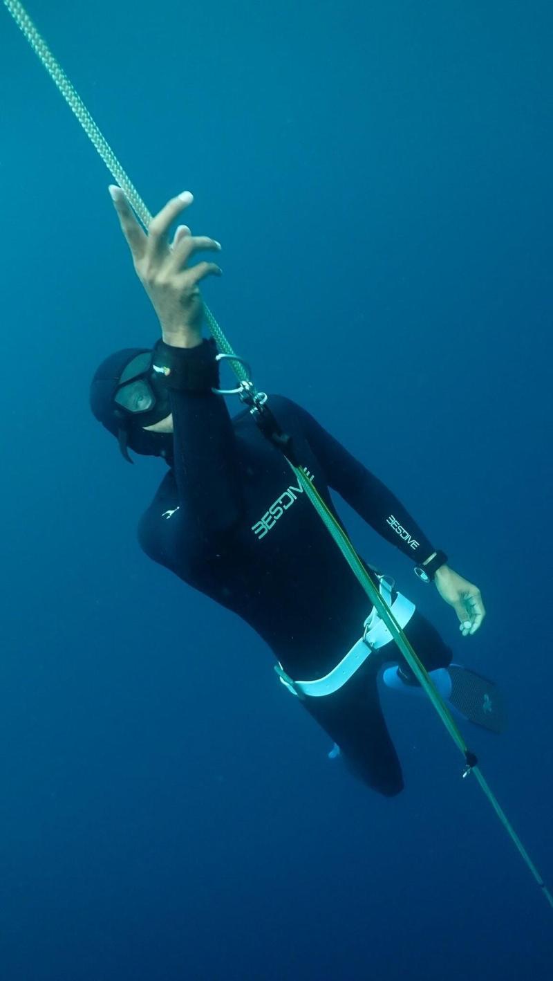 Murex Manado Dive Resort - Aktivite