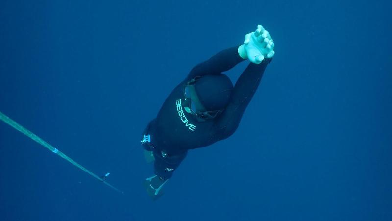 Murex Manado Dive Resort - Aktivite