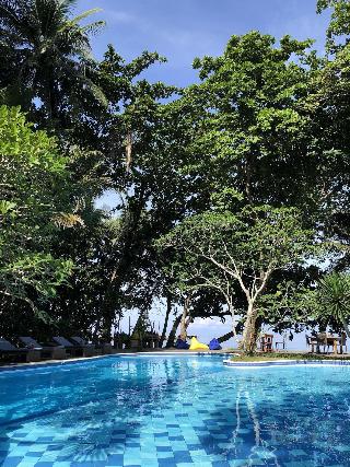 Murex Manado Dive Resort fotoÄŸrafÄ±