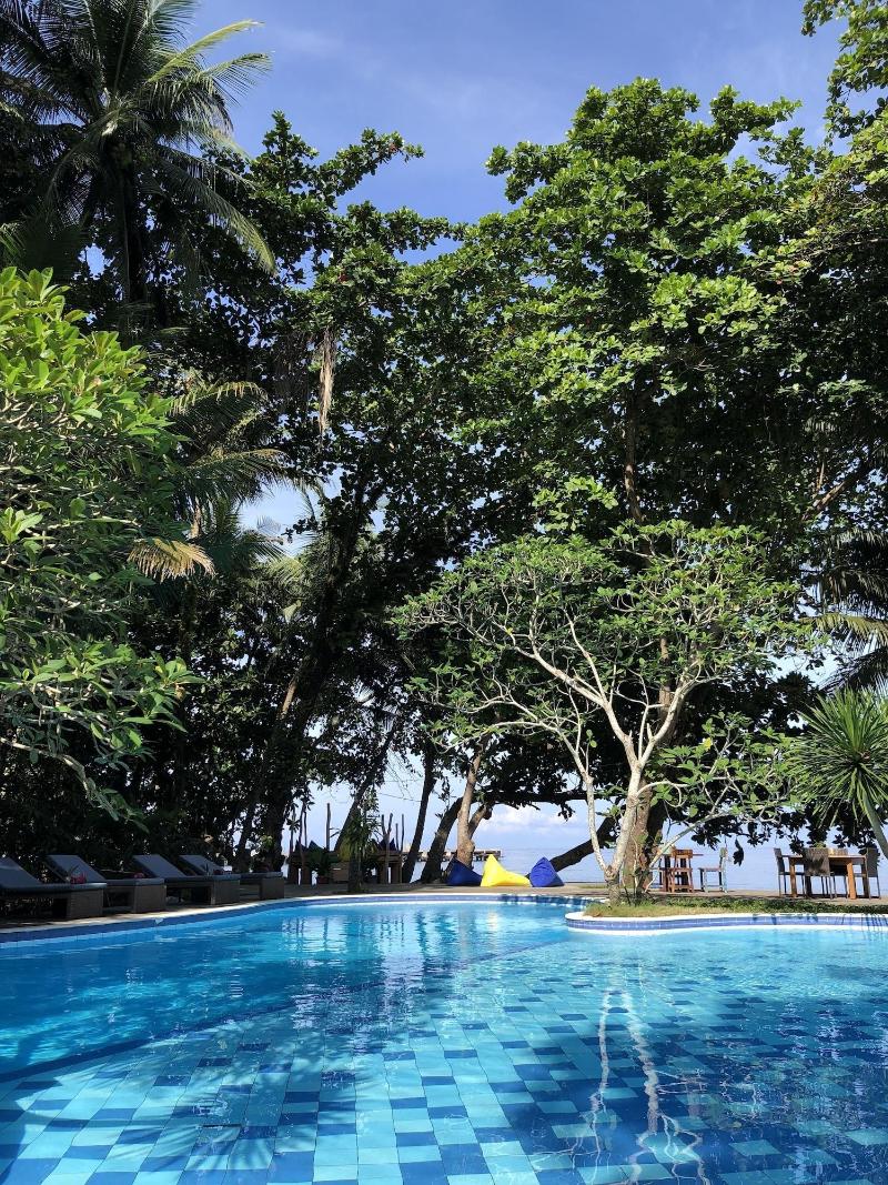 Murex Manado Dive Resort - Aktivite